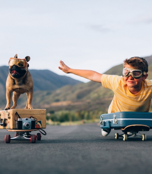 Le lien humain-animal au cœur de notre engagement digital